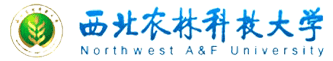 企鹅直播体育直播